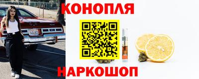 СК Славгород