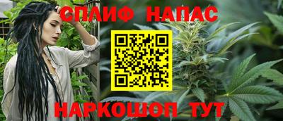 СК Славгород