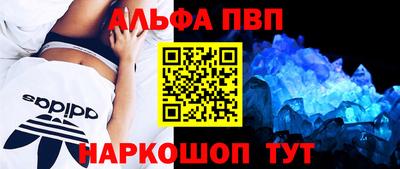 СК Славгород