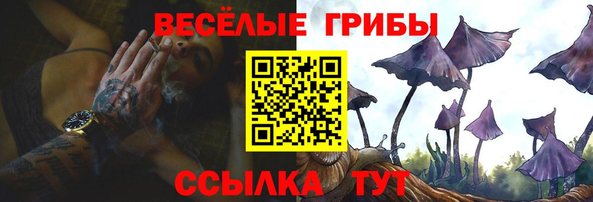 Галлюциногенные грибы прущие грибы  Галлюциногенные грибы мухоморы  Вход с VPN  Самара 